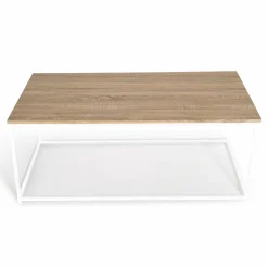 IDMarket Table basse style industriel bois et métal blanc* Collection Industrielle|Salon Complet