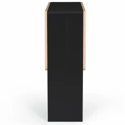 IDMarket Table console bois noir et imitation hêtre* Meubles Noirs|Collection Contemporaine