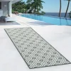 IDMarket Tapis extérieur gris 80x250cm* Revêtement Sol Extérieur