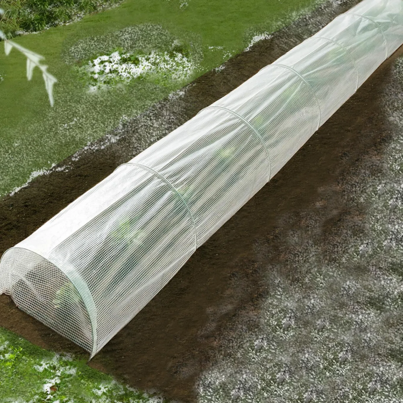 IDMarket Tunnel de forçage 5 m* Tunnels Et Accessoires De Croissance|Serres À Tomates Et Équipement Du Potager