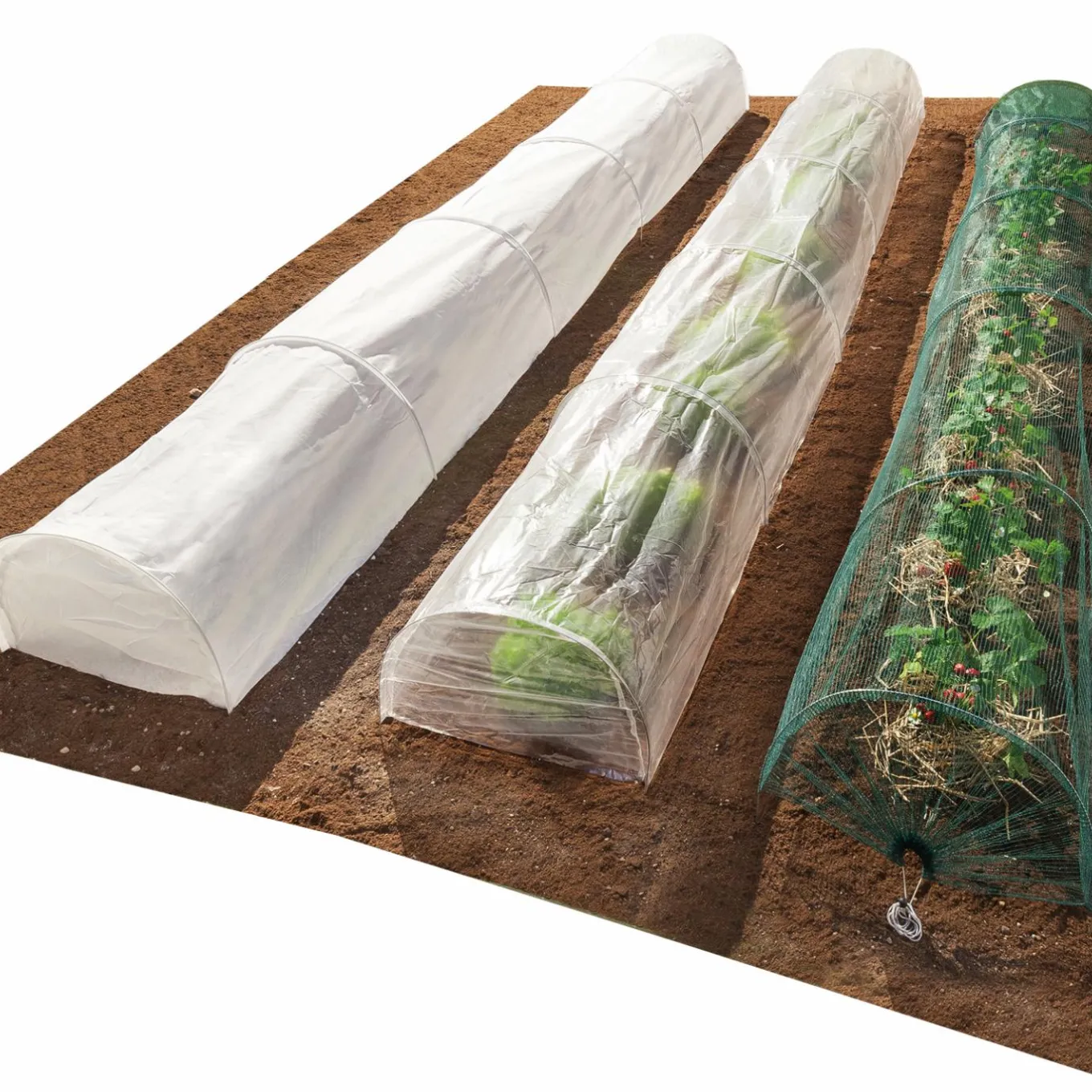 IDMarket Tunnel de forçage pour cultures* Serres À Tomates Et Équipement Du Potager|Serres