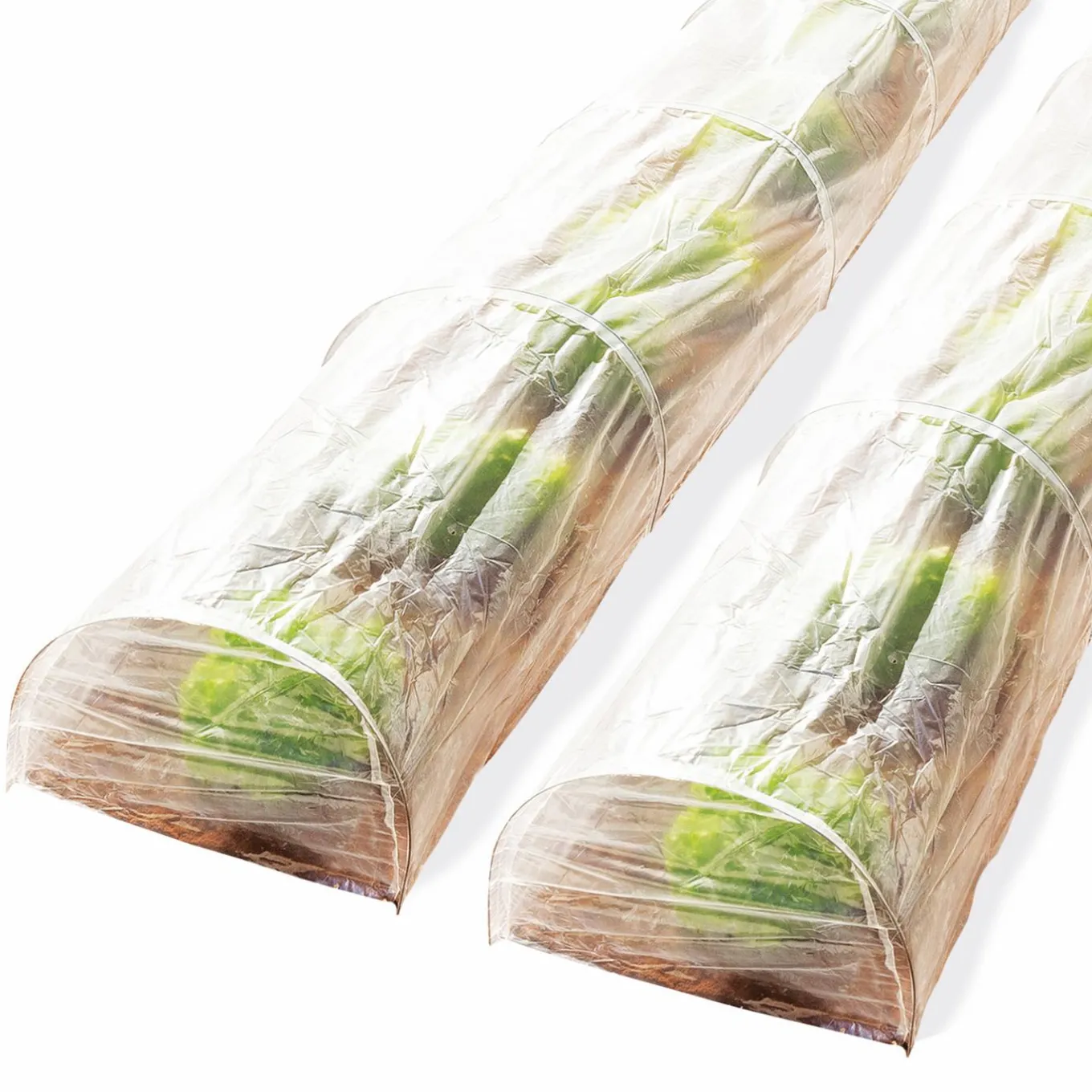 IDMarket Tunnels de forçage 4 M pour cultures* Tunnels Et Accessoires De Croissance|Serres À Tomates Et Équipement Du Potager